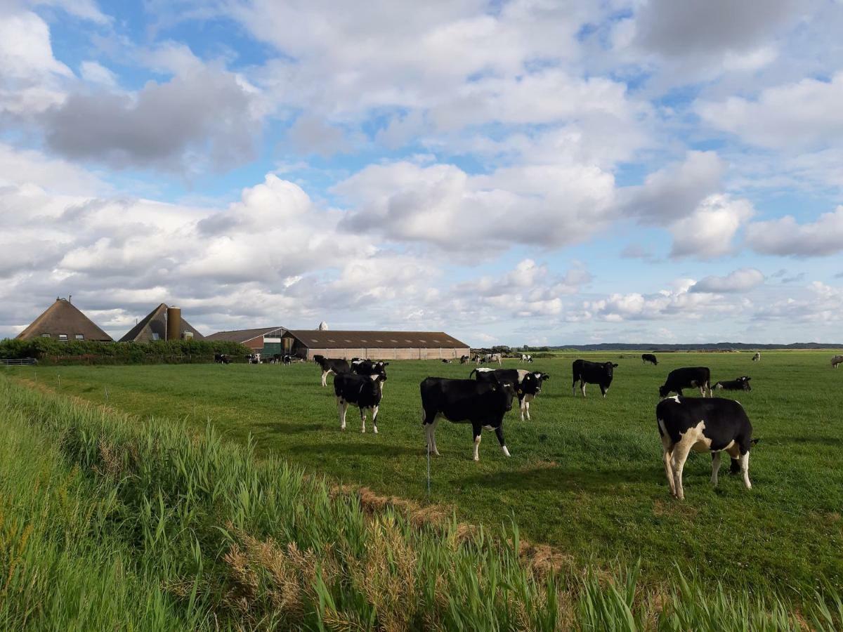 Iefjeshoeve Petten Exteriör bild