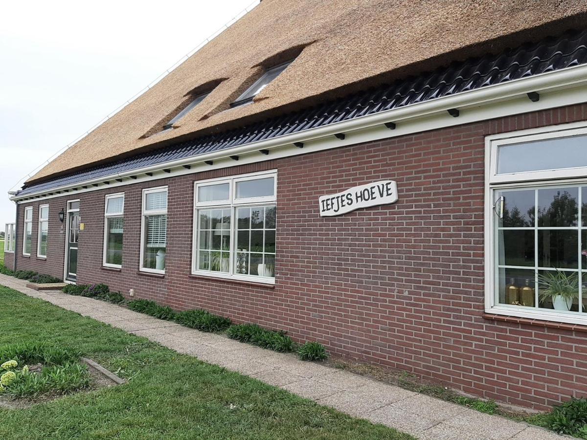 Iefjeshoeve Petten Exteriör bild